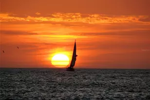 60 Gulf Blvd, Indian Rocks Beach, FL 33785 - Photo 39