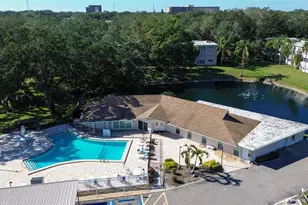 841 Patricia Ave, Dunedin, FL 34698 - Photo 41