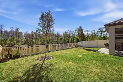16816 Shell Bay Drive, Land O Lakes, FL 34638 - Photo 27