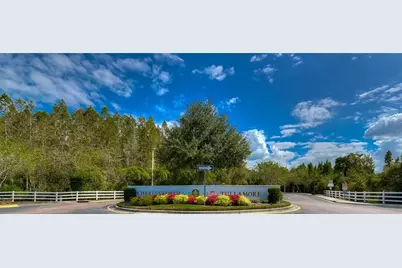 1019 Tullamore Drive, Wesley Chapel, FL 33543 - Photo 3