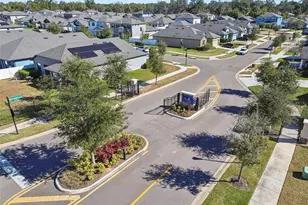 1246 Florablu Dr, Seffner, FL 33584 - Photo 65