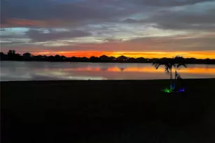 11951 Downy Birch Dr, Riverview, FL 33569 - Photo 33