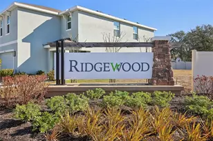 11951 Downy Birch Dr, Riverview, FL 33569 - Photo 31