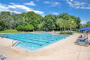 5837 Heronpark Pl, Lithia, FL 33547 - Photo 59