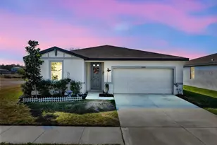 38870 Opal Willow Ln, Zephyrhills, FL 33540 - Photo 1