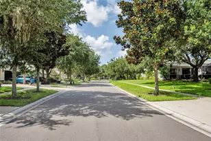 5911 Phoebenest Dr, Lithia, FL 33547 - Photo 51