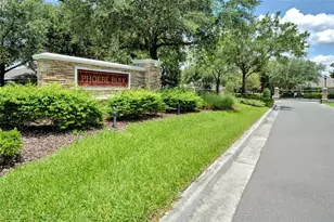 5911 Phoebenest Dr, Lithia, FL 33547 - Photo 53