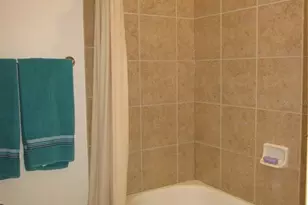 4015 Courtside Way, Tampa, FL 33618 - Photo 17