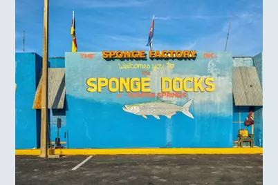 402 Village Drive, Tarpon Springs, FL 34689 - Photo 31