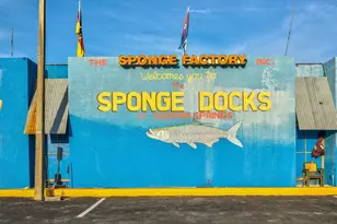 402 Village Dr, Tarpon Springs, FL 34689 - Photo 31