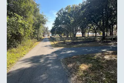 35400 Lake Ray Drive, Dade City, FL 33525 - Photo 33