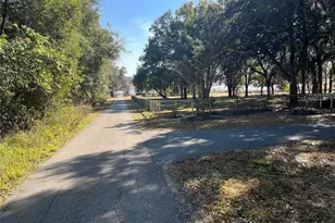 35400 Lake Ray Dr, Dade City, FL 33525 - Photo 33