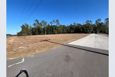 35400 Lake Ray Drive, Dade City, FL 33525 - Photo 31