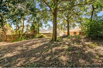 821 Pine Street, Tarpon Springs, FL 34689 - Photo 31