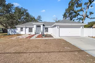 1007 Tryon Cir, Spring Hill, FL 34606 - Photo 3