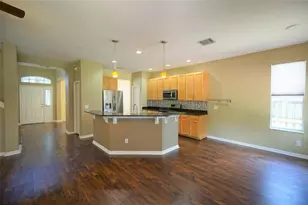 13603 Sigler St, Riverview, FL 33579 - Photo 11