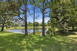 13603 Sigler St, Riverview, FL 33579 - Photo 55