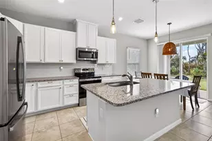 9833 Zennia Ln, Parrish, FL 34219 - Photo 11