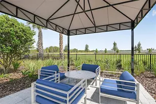 2477 Water Willow Dr, Lutz, FL 33558 - Photo 53