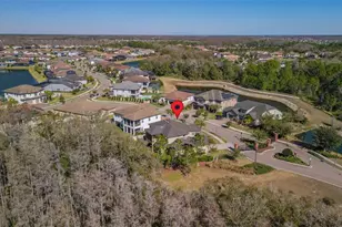 3839 San Vito Dr, Wesley Chapel, FL 33543 - Photo 55