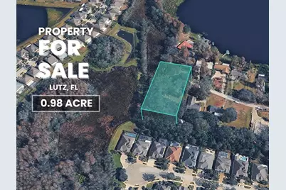 Blount Road, Lutz, FL 33558 - Photo 1