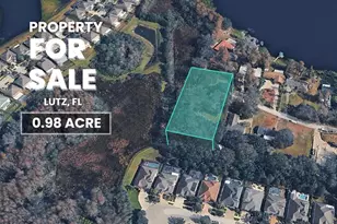 Blount Rd, Lutz, FL 33558 - Photo 1