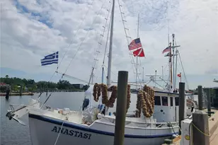 39650 US Hwy 19 N, Tarpon Springs, FL 34689 - Photo 45