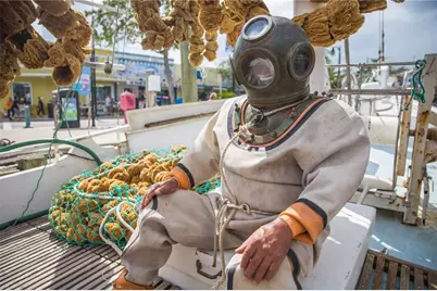 39650 US Hwy 19 N, Tarpon Springs, FL 34689 - Photo 47