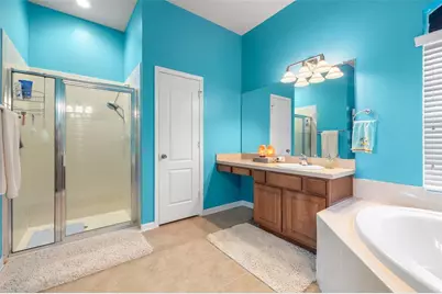 30404 Colthurst Street, Wesley Chapel, FL 33545 - Photo 35