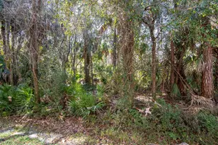 18832 Duquesne Dr, Tampa, FL 33647 - Photo 31