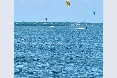 644 Bayshore Drive, Tarpon Springs, FL 34689 - Photo 89