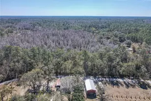 10738 Country View Dr, Lakeland, FL 33809 - Photo 57