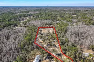 10738 Country View Dr, Lakeland, FL 33809 - Photo 47