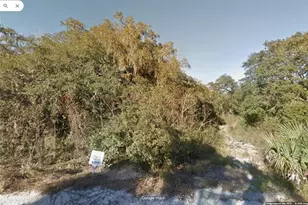 6891 W Patrick Dr, Homosassa, FL 34446 - Photo 1