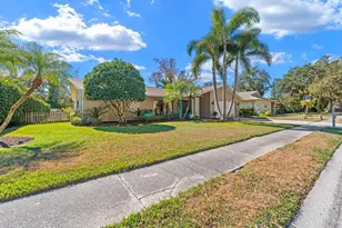 1812 Pine Hill Dr, Safety Harbor, FL 34695 - Photo 37