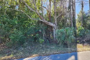 12716 Poppy St, New Port Richey, FL 34654 - Photo 1