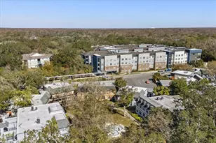 4405 Vieux Carre Cir, Tampa, FL 33613 - Photo 31