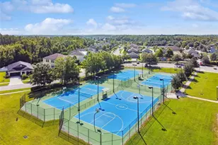 21818 Lyonia Ln, Land O Lakes, FL 34637 - Photo 79