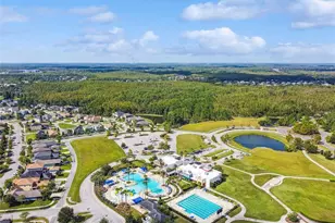 21818 Lyonia Ln, Land O Lakes, FL 34637 - Photo 83