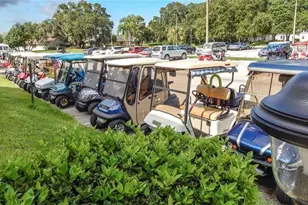 2309 Mooney Pl, Sun City Center, FL 33573 - Photo 55