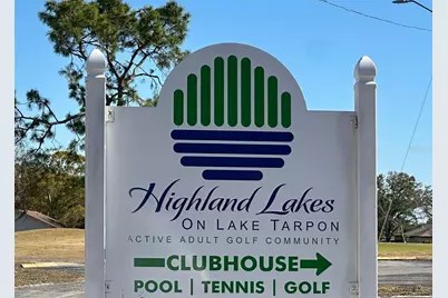3569 Oak Lake Drive, Palm Harbor, FL 34684 - Photo 31