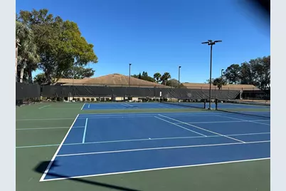 3569 Oak Lake Drive, Palm Harbor, FL 34684 - Photo 39