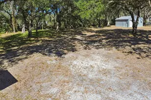 3302 Jap Tucker Rd, Plant City, FL 33566 - Photo 41