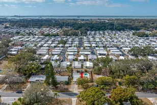 1268 Robin Hood Ln, Dunedin, FL 34698 - Photo 47