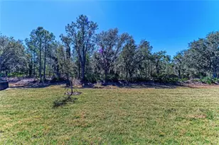 15014 Rider Pass Dr, Lithia, FL 33547 - Photo 39