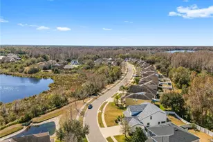 5463 Shasta Daisy Pl, Land O Lakes, FL 34639 - Photo 73