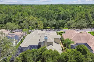 2935 Grey Oaks Blvd, Tarpon Springs, FL 34688 - Photo 75