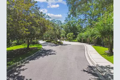 2935 Grey Oaks Boulevard, Tarpon Springs, FL 34688 - Photo 71