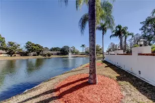 4814 Bellemede Blvd, New Port Richey, FL 34655 - Photo 45