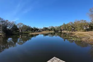 701 Duque Rd, Lutz, FL 33549 - Photo 75